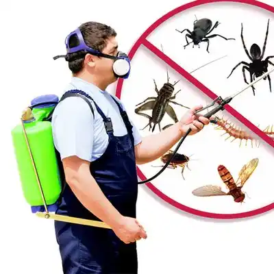pest control Lake Shore